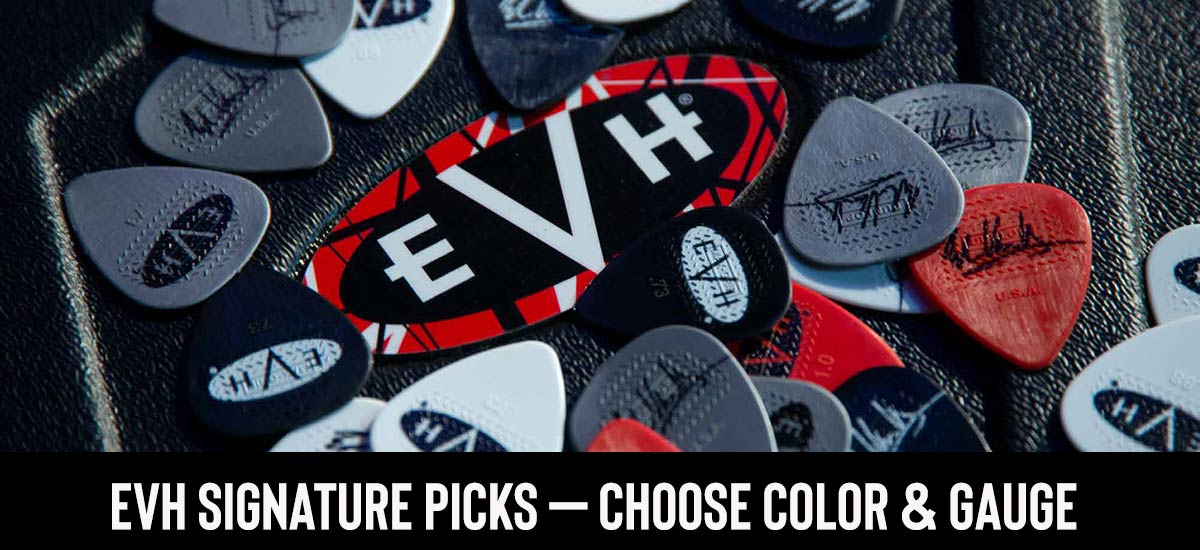 Legendary Gear for Every Fan