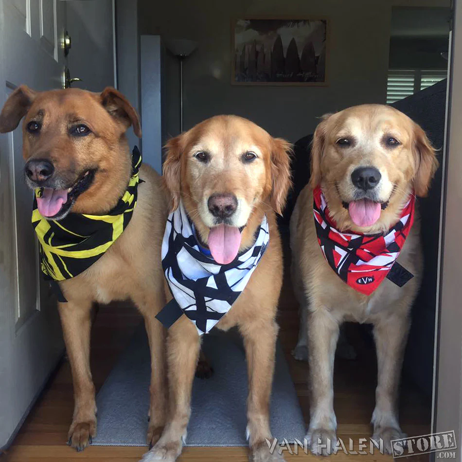 EVH Bandana 3-Pack - Image 8